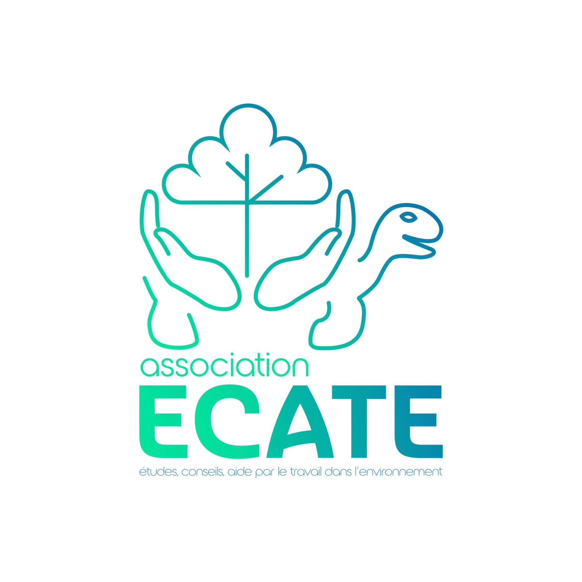 logo_ECATE.jpg